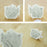 【 kawaiipack 3D きんぎょ 2個入 】