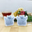 【 kawaiipack 3D クマ 2個入 】